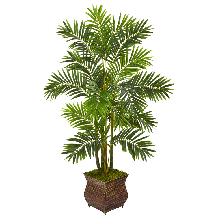 Bay Isle Home Artificial Palm Tree in Planter Wayfair Canada